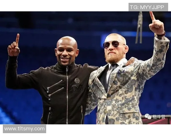 梅威瑟与嘴炮对决票价揭秘观赛体验与价值分析